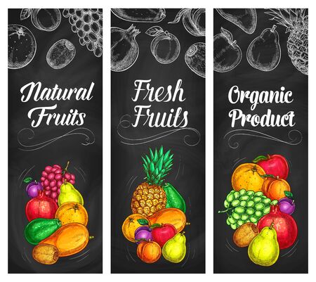 Fruits banners, chalkboard sketch farm garden food, vector orange, pineapple and mango. Tropical papaya, grapefruit citrus and grape, plum and pear, apple, pomegranate and kiwi fruits on chalk boardのイラスト素材