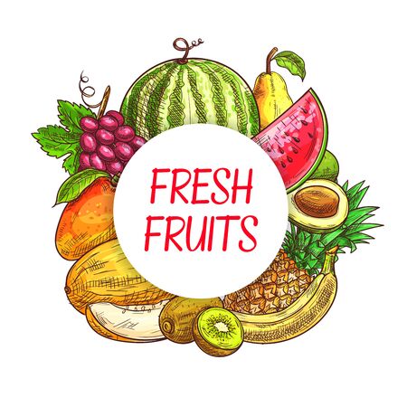 Fresh fruits sketch poster, farm market and tropical garden vector harvest. Hand drawn juicy pineapple, banana and watermelon, kiwi, melon and avocado, tropic mango, grape and pearのイラスト素材