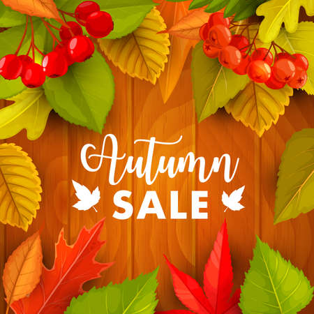 Autumn sale vector promo with fall foliage, hawthorn and rowan berries on wooden background.のイラスト素材