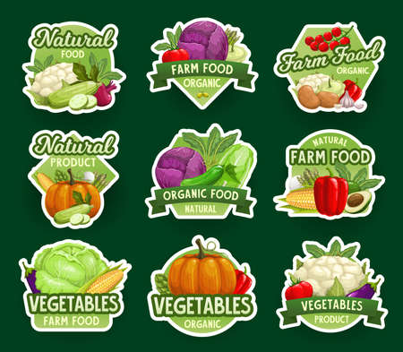 Farm natural vegetable icons and stickers, vector farm food veggies market. Vegetables and green organic food cauliflower and broccoli cabbage, garlic, pumpkin and corn, zucchini squash and avocadoのイラスト素材