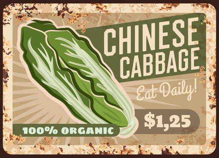 Cabbage Chinese napa rusty metal plate, vegetables food and farm market price menu, vector retro poster. Green Chinese cabbage napa or nappa lettuce, vegetables and greenery veggiesのイラスト素材