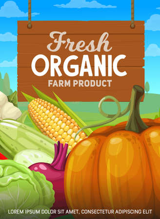 Organic farm fresh vegetables banner. Farmer natural food products, veggies and greenery autumn harvest. Pumpkin, con and cabbage, bell pepper, beet and squash, cauliflower vegetables cartoon vectorのイラスト素材