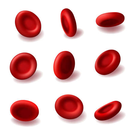 Red blood cells 3d vector hemoglobin, hematology medicine, human body anatomy. Realistic microscopic blood cells of cardiac system isolated on white background. Medical healthcare design elements setのイラスト素材