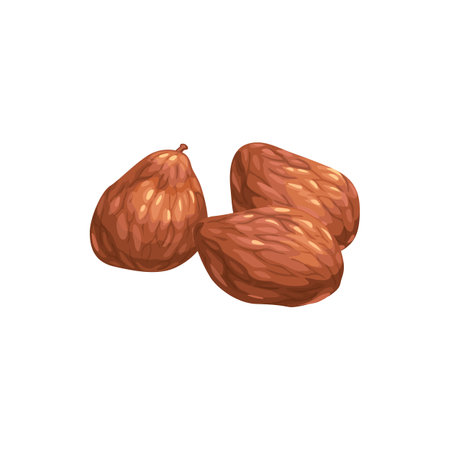 Persimmon dried kaki fruits, dry food snacks and fruit sweets, isolated vector icon. Dried persimmon kaki fruit, sweet dessert, natural organic dehydrated foodのイラスト素材