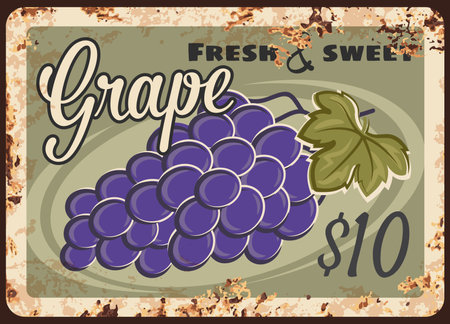 Grape rusty metal plate, vector vintage rust tin sign with bunch of ripe black grapes with leaf. Shop or farm promo, ferruginous label, vineyard production advertising retro poster with price tagのイラスト素材