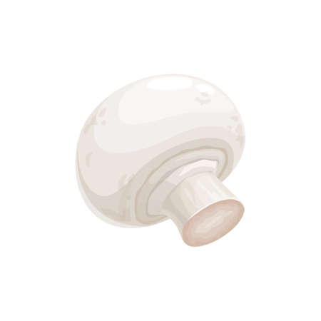 Champignon small edible mushroom with white cap isolated 3D realistic icon. Vector common white button mushroom, cultivated table champignon cremini or crimini. Fungi widely grown autumn fall foodのイラスト素材