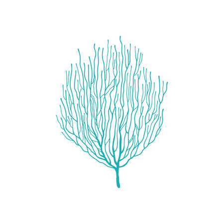 Soft coral blue acropora branch isolated icon. Vector bubble tip anemone, soft pulsing coral in underwater world. Marine seaweed, bubble-tip anemone, sea bottom object tanks and aquarium decorationのイラスト素材
