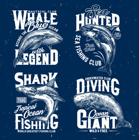 Trophy fishing and ocean diving club t-shirt print template. Blue whale, orca or killer whale and hammerhead shark, cachalot engraved vector. Clothing prints with ocean big mammal and marine predatorのイラスト素材