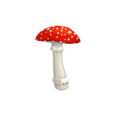 Mushroom fly agaric vector icon, cartoon amanita toxic forest plant with red and white mottled cap isolated on white background. Autumn season symbol, botanical objectのイラスト素材
