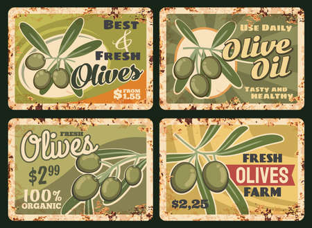 Organic farm olive oil rusty metal plate. Vector bunch of ripe, green olives on tree branch with leaves. Olive farm healthy product, harvest grunge tin sign, oil price tag with rust texture frameのイラスト素材
