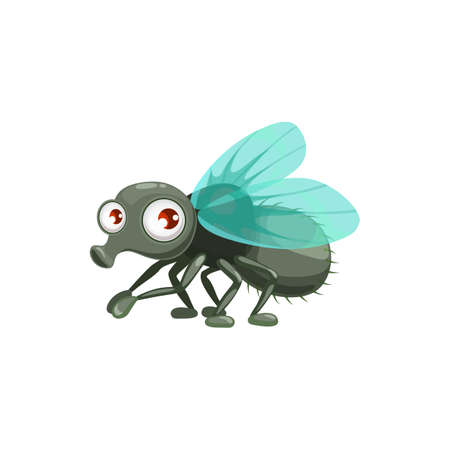 Cartoon fly vector icon, funny insect with cute face and big eyes. Pest control service mascot, design element. Wild flying creature isolated on white backgroundのイラスト素材