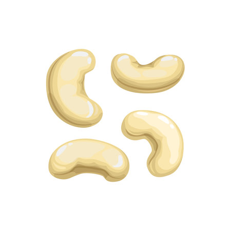 Cashew nuts isolated flat cartoon icon. Vector organic healthy food snack, seeds of roasted cashew nuts in nutshells, vegetarian dieting superfood. Peeled or unpeeled, dry or raw cashew seedsのイラスト素材