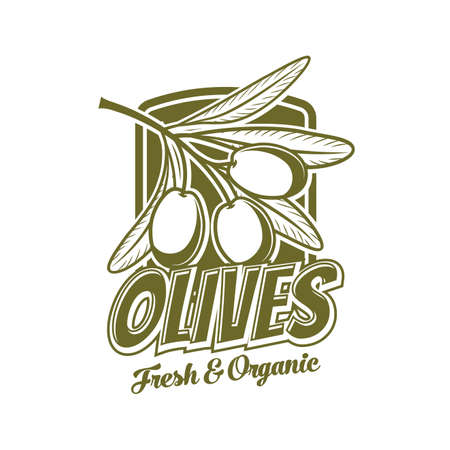 Fresh olives icon, organic food product vector symbol. Extra virgin olive oil bottle tag with green olive fruits and leaves, Italian, Greek or Mediterranean cuisine iconのイラスト素材