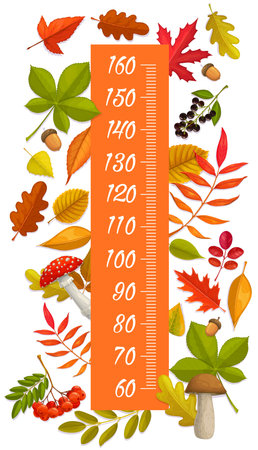 Kids height chart growth measure autumn leaves, berries, mushrooms and acorns. Vector wall sticker pediatric meter for children height measurement with cartoon autumnal plants. Stadiometer scaleのイラスト素材