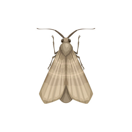 Moth icon, insect pest control disinsection and domestic sanitary extermination, vector. Moth or clothes moth vermin and parasite insect, disinfection and agrarian pesticide pest controlのイラスト素材