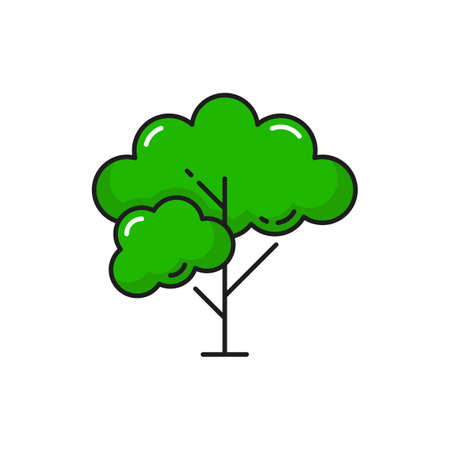 Tree with branches and green leaves isolated thin line icon. Vector wild tree outline park plant, garden forest architecture element, gardening landscape scenery object, clean environment, nature careのイラスト素材