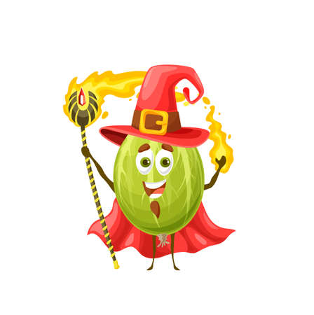 Funny gooseberry wizard or magician in red hat. Vector garden berry character, cartoon fruit sorcerer, magic personage in cape with wand and staff. Smiling wiz with cute face, enchanter or necromancerのイラスト素材