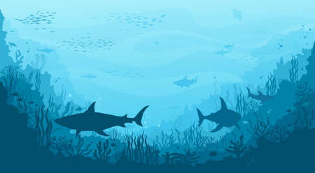 Underwater landscape with hummerhead sharks, manta ray and fish school, coral reefs silhouettes. Deep sea flora and fauna, ocean bottom life or dark seabed vector background with fishes and seaweedsのイラスト素材