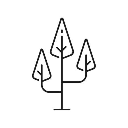 Abstract tree forest plant with triangle shape crown isolated thin line icon. Vector landscape and garden architecture element, ecology, save nature symbol. Botanical spring summer environment objectのイラスト素材
