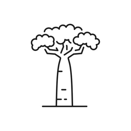 Jungle forest tree with broad trunk and shades crown isolated thin line icon. Vector tropical garden decor element, exotic tree spring or summer object. Environment protection, landscape architectureのイラスト素材