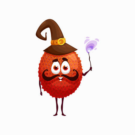 Rambutan lychee fruit wizard with magic wand in hat isolated cartoon character. Vector funny exotic litchee with mustaches on face, smiling emoticon fairy sorcerer, kids children Thai garden foodのイラスト素材