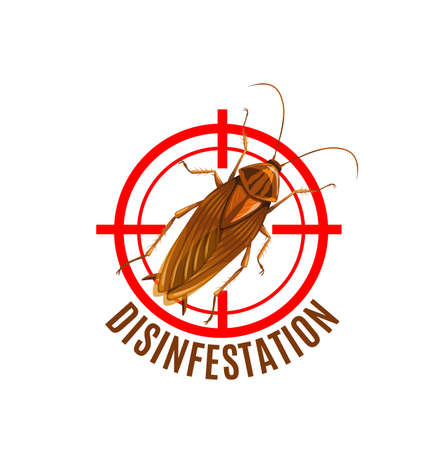 Disinfestation icon, cockroach stop sign. Pest control disinsection service, vector emblem with insect inside of weapon aim. Parasites extermination, pest control fumigation at home cartoon labelのイラスト素材