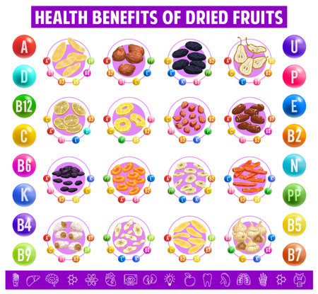 Dried fruits chart table content of vitamins and minerals in apricot, raisins, prunes, dates or figs. Candied banana, pineapple or apple, lemon, lime and pear with papaya sun dry sweet healthy snacksのイラスト素材