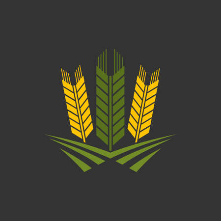 Cereal ear and wheat spike graphic icon. Agriculture and crops food isolated icon with rye, barley or rice ear, millet stalk. Cereals farm harvest, beer drink badge or symbolのイラスト素材