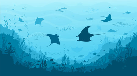 Manta ray and stingray, seaweed and reef underwater landscape. Sea bottom life, deep sea flora and fauna vector background with corals and ocean animals. Seafloor aquatic landscape with manta raysのイラスト素材