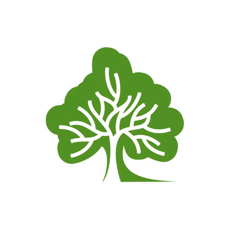 Park and garden tree icon, environment and green ecology vector symbol. Nature eco concept sign for park gardening and landscaping, forest tree emblem of organic bio products and healthのイラスト素材