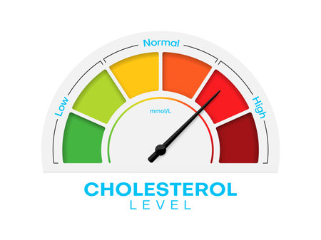 Cholesterol level meter with high and low fat test, vector blood risk and good or bad health control. Cholesterol level meter gauge with arrow indicator for healthcare and heart heath analysisのイラスト素材
