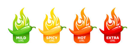 Hot spicy level labels of vector jalapeno, chili, cayenne peppers with fire flames. Spicy food or sauce taste scale indicators, green, red, yellow and orange rating signs for hot, extra and mild tasteのイラスト素材