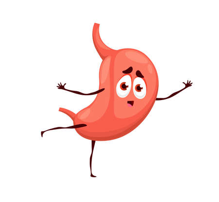 Human funny cartoon stomach character, isolated vector mascot of anatomy science. Cute organ of healthy digestive system, happy stomach emoji with esophagus having fun and dancing, gastroenterologyのイラスト素材