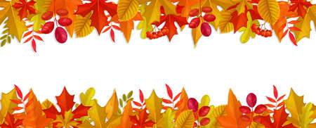 Frame with stripes of autumn leaves and berries. Vector autumnal horizontal border with red and yellow foliage of oak, maple, rowan trees. Background for sale, back to school or thanksgiving holidaysのイラスト素材