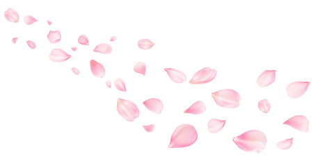 Sakura flying petals, romantic background with realistic pink cherry flower petals flow or falling motion. Love, romance, floral spring season or wedding invitation with rose pastel colorsのイラスト素材