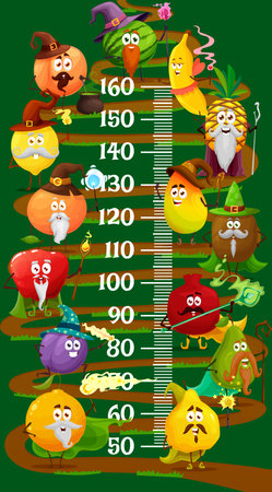 Cartoon fruit magician, wizard kids height chart, growth measure meter. Vector apricot, watermelon, banana and pineapple, mango or kiwi and garnet. Quince, pear, orange and plum, apple and lemonのイラスト素材