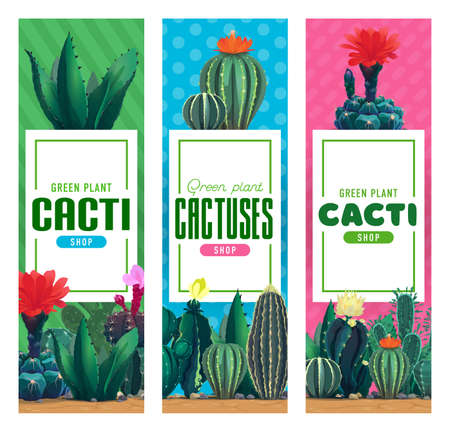 Flower shop banners, cacti and succulents. Vector vertical banners with different cartoon cactuses, tropical spiked plants, desert flora. Floristic store app mobile onboard screen designのイラスト素材