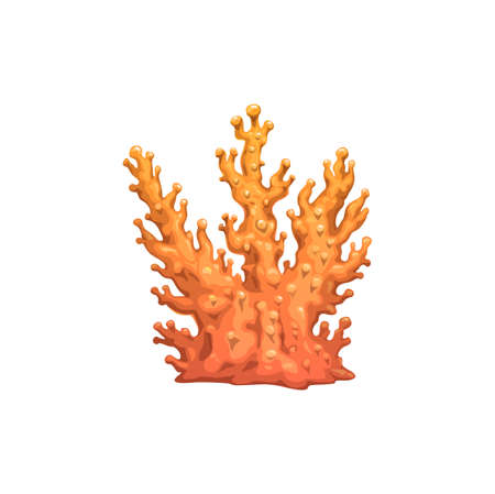Cartoon coral branch, underwater vector plant with pimples on orange branches. Sea reef object, undersea tropical water life, ocean coral marine flora isolated design elementのイラスト素材