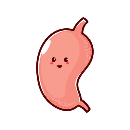 Stomach digestive tract and enzyme system funny cartoon character emoticon. Vector gastroenterologist emblem, abdomen digestion internal human organのイラスト素材