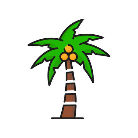 Palm with coconuts, green tropical tree icon, jungle forest or park tree, vector isolated symbol. Beach palm or tropic garden tree with big leaves, flat thin line icon of exotic coconut plantのイラスト素材
