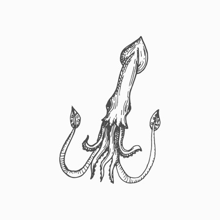 Squid giant cuttlefish Cephalopods mollusk hooked-squid isolated hand drawn sketch. Vector marine underwater character mascot, seafood. Aquatic animal with elongated body, large eyes and eight armsのイラスト素材