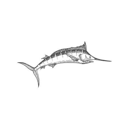 Swordfish icon isolated long toms fish monochrome sketch. Vector long toms marlin, broadbill saltfish with long flattened snout. Predatory game fish wit flat bill, Xiphiidae marine underwater animalのイラスト素材