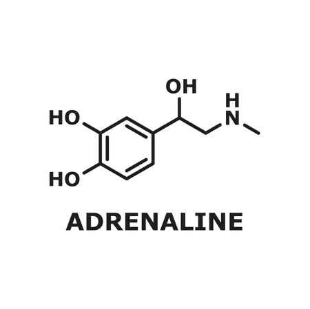 Epinephrine neurotransmitter, adrenaline molecule isolated thin line chemical structure. Vector neurotransmitter molecule, hormone chemical structure produced by adrenal glands, certain neuronsのイラスト素材