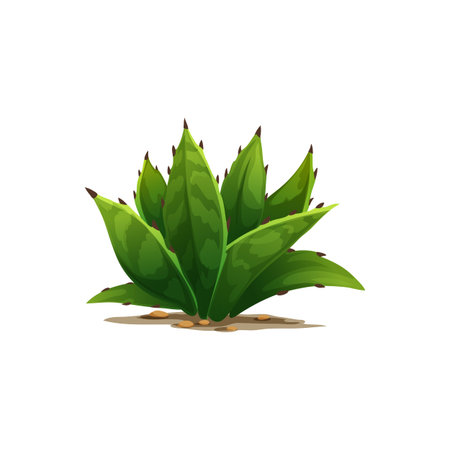 Agave americana sentry plant growing in sand with rocky stones isolated cartoon icon. Vector maguey or American aloe succulent flower tequila drink ingredient. Botanical cacti with spikes exotic agaveのイラスト素材