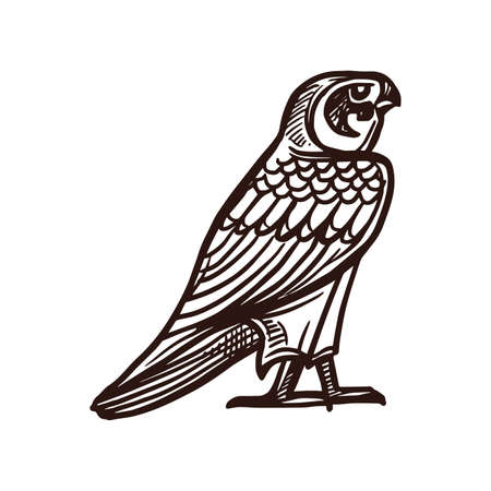 Horus falcon sketch, Ancient Egypt deity and mythology bird, vector icon. Ancient Egyptian sacred falcon bird deity and symbol of god Ra or Horus, mythology hand drawn sketch signのイラスト素材