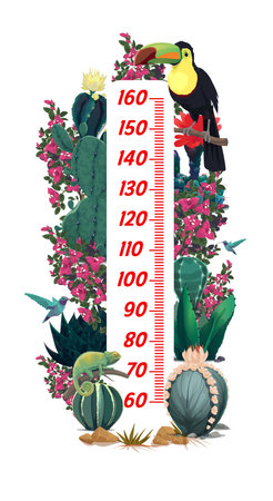 Kids height chart with mexican toucan, cactuses flowers. Child growth meter or height measure vector chart, kids growth ruler with mexican flora and fauna plants, chameleon lizard and hummingbirdsのイラスト素材