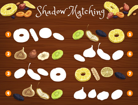 Shadow matching game worksheet. Dried fruits. Kids quiz or riddle, preschool children educational game or children vector puzzle with dried prune, mango and fig, dogwood, lemon and kiwi, pineappleのイラスト素材