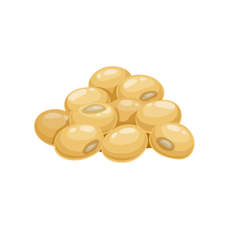 Isolated raw soybeans. Soya seed natural nutrition ingredient or cartoon vector diet food, vegetarian protein. Soybean agriculture harvestのイラスト素材