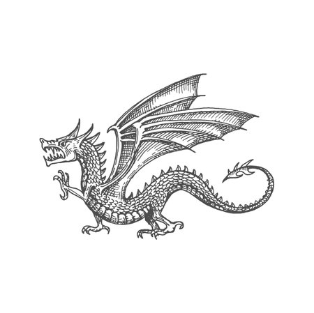 Dragon with wings and sharp tail, chinese magic animal sketch icon. Vector oriental culture legendary creature, dragon mythological monsterのイラスト素材