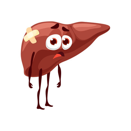 Liver sick body organ character. Cartoon vector unhealthy internal organ, anatomical personage with sad face and plaster. Health care medicine, hepatitis disease, liver damage or inflammation sicknessのイラスト素材